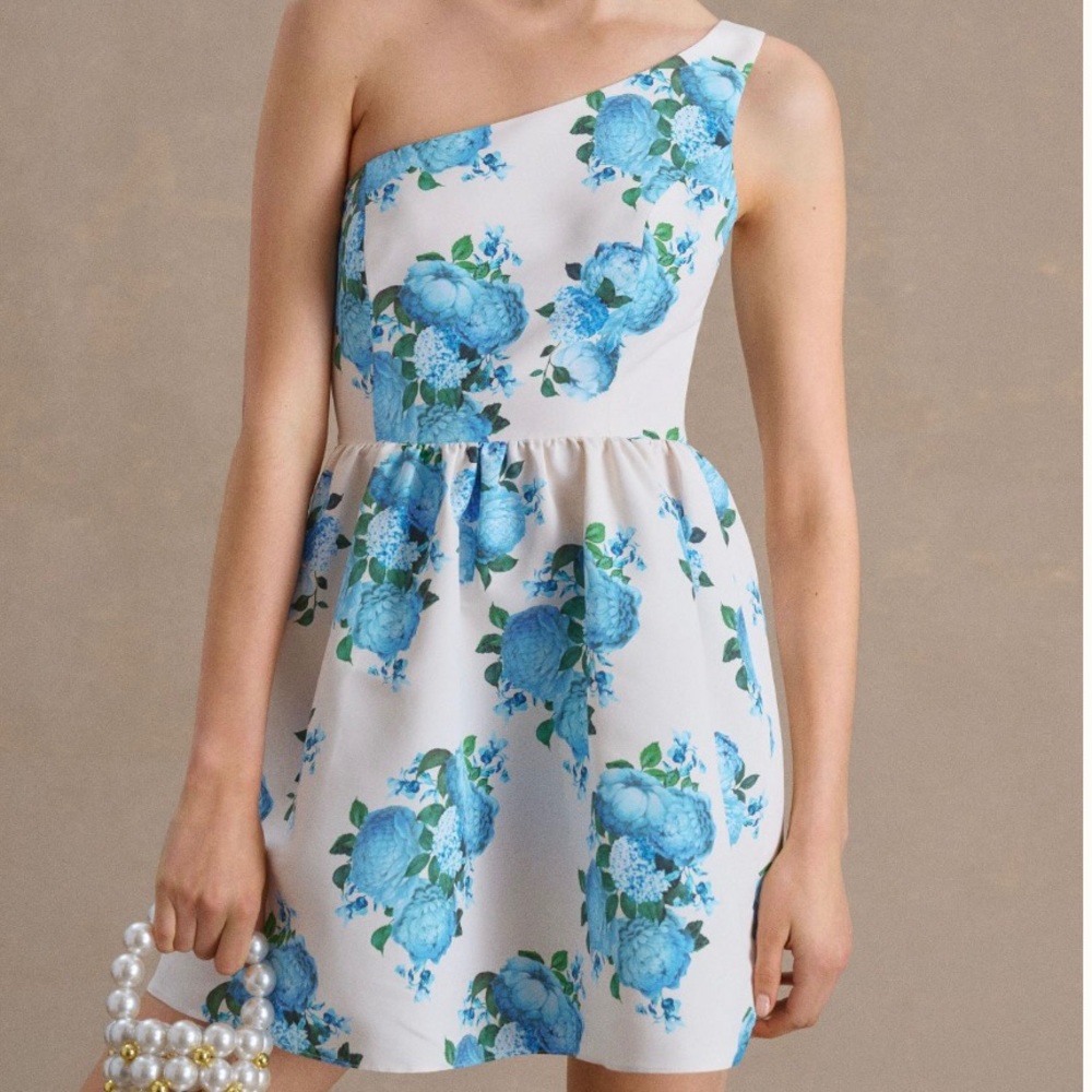 Sachin + Babi Addison dress